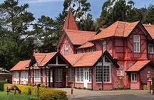 Tea Country Day Tour from Kandy - Nuwara Eliya 