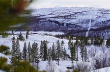 Russian Border Snowshoe Hike