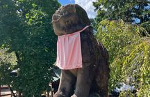 Nara: Essential Private Tour with Deer Park and Temples