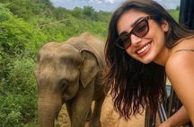 Best Value Yala Safari: Spot Leopards, Elephants & Bears (Shared)