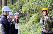 Forest Tourism and Woodcraft with a Mountain Artist Near Tokyo