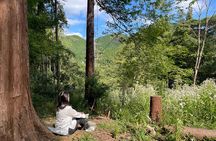 Forest Tourism and Woodcraft with a Mountain Artist Near Tokyo