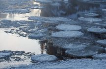 Little Karhunkierros Trail Snowshoeing Adventure in Oulanka