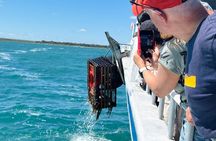 Pinnacles Desert and Catch Your Own Lobster Lunch Safari.
