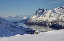 PRIVATE 5 Fjords Tour by Minivan in 4 Hours