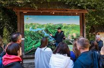 From Zadar: Plitvice Lakes Guided Day Tour with Tickets