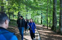 From Zadar: Plitvice Lakes Guided Day Tour with Tickets