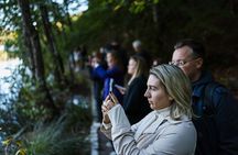 From Zadar: Plitvice Lakes Guided Day Tour with Tickets