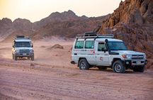 Hurghada Family Safari ATV quad Jeep Dinner and Show