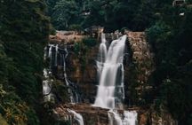 Tea Country Day Tour from Kandy - Nuwara Eliya 