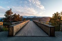 Winter Fjord Tour to Nærøyfjord, Flam and Stegastein from Bergen