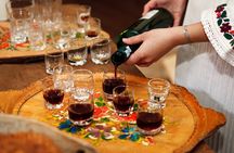 Croatian Traditional Workshop and Folklore Live Performance Show 