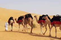 Dubai: Morning Desert Safari Red Dunes Bashing Camel Sandboarding