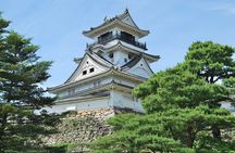 Shore Excursion Full Day Private Kochi Tour from Kochi port