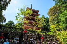 Shore Excursion Full Day Private Kochi Tour from Kochi port