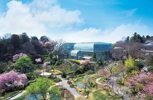 Shore Excursion Full Day Private Kochi Tour from Kochi port