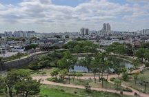 Flexible Private Guided Tour In Suwon(Optional layover)