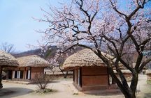 Flexible Private Guided Tour In Suwon(Optional layover)