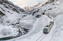 Winter Tour Viking Village, Nærøyfjord Cruise and Flåm Railway