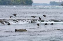 Panorama Sightseeing Tour Of The Historic Lachine Rapids