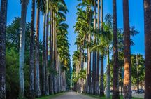 Private Rio Tour: Botanical Garden and Tijuca National Park