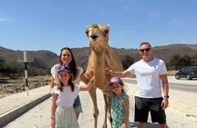 Half Day Nature Escape Wadi Darbat and Mount Samhan Tour