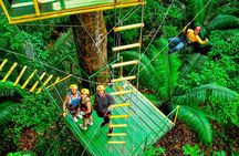 Guanacaste Zipline – Safe & Fun for Kids 2+ & Families