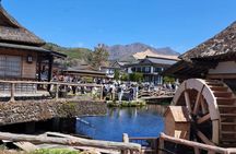 Mount Fuji Private Tour from Tokyo with English Speaking Driver