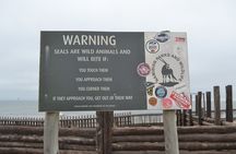 Cape Cross Seal Colony and Skeleton Coast Namibia Guided Tour