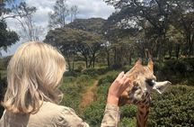 Explore Nairobi National Park with Transportation