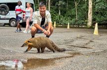 Tijuca Forest: Tour with Waterfalls and Caves