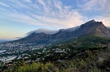 Cape Town Table Mountain Half day Tour ticket and Hotel Pickup 