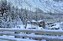 Winter Day Trip: Lake Louise, Marble Canyon, Emerald Lake, Banff 