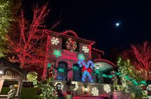 Christmas Lights Dycker Heights Tour Experience