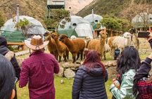 Salkantay Humantay Lake Trek 2D1N With Real Luxury Domes