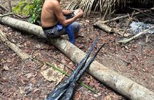 Amazon Survival Experience 