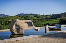 2-Winery Private Tour in Casablanca from Santiago