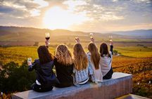 2-Winery Private Tour in Casablanca from Santiago