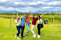 Relaxed Half Day Yarra Valley Wine Tasting Tour from Melbourne