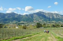Franschhoek Wine Walk with Lunch