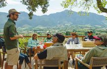 Franschhoek Wine Walk with Lunch