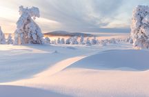 Winter Snowshoeing in the Finnish Wilderness