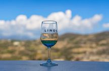 Cyprus Uncovered Platres Omodos Waterfall and Wine