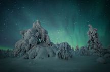 Adults Only Aurora Hunt in the Finnish Wilderness