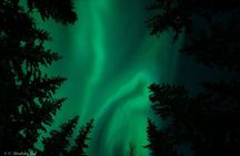 Adults Only Aurora Hunt in the Finnish Wilderness