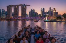 Singapore City Light Tour : Garden by the Bay, Supertree Rhapsody