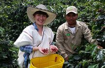 Guanacaste Waterfalls Rainforest Coffee Tour