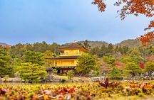 From Osaka or Kyoto: Kyoto and Nara 1-Day Bus Tour