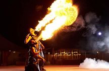 Vip Dubai Safari Red Dunes 4x4 Pick/Drop Camel Dinner Shows