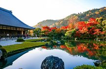 From Osaka or Kyoto: Kyoto and Nara 1-Day Bus Tour